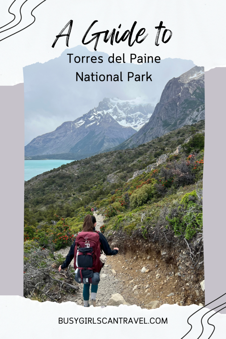 Guide-torres-del-paine-pin3