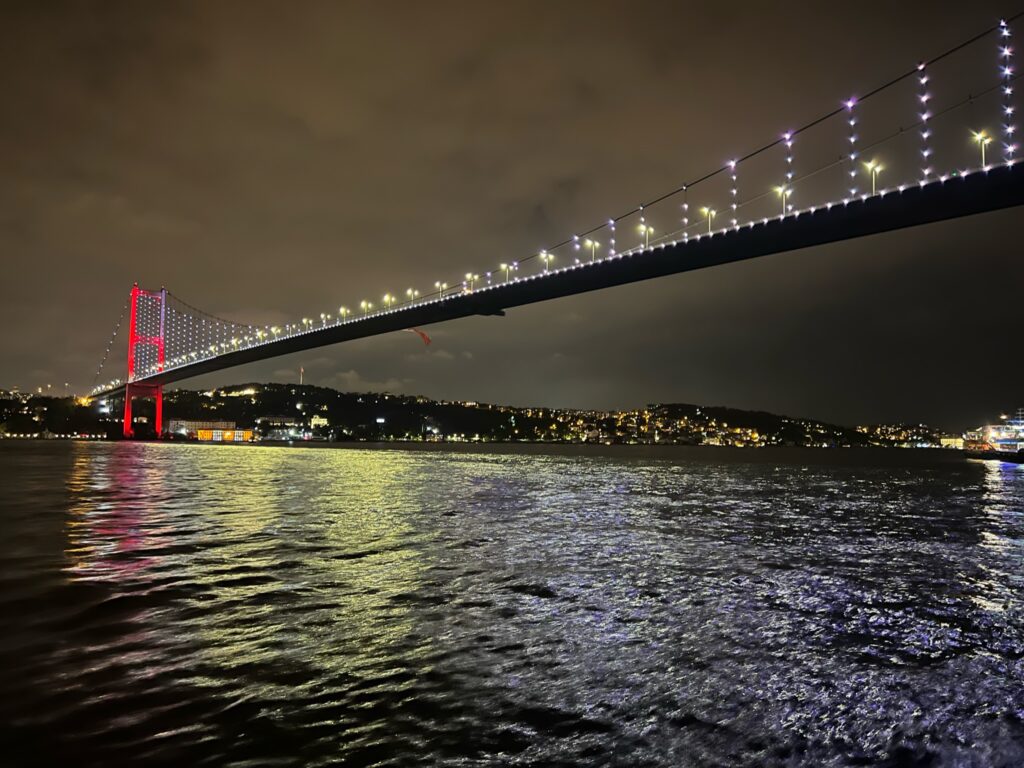 View from Bosphorus cruise